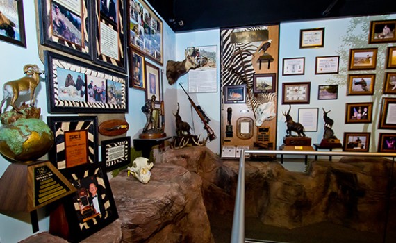 WildlifeMuseum19_JoeNewman